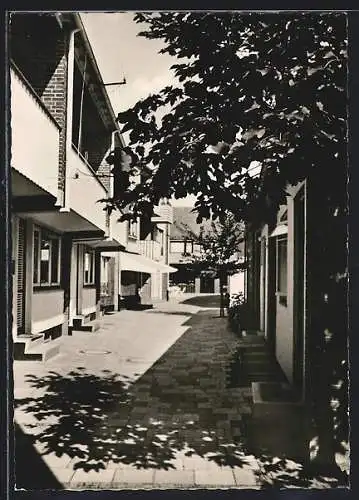 AK Helgoland, Bremer Strasse mit Bäumen