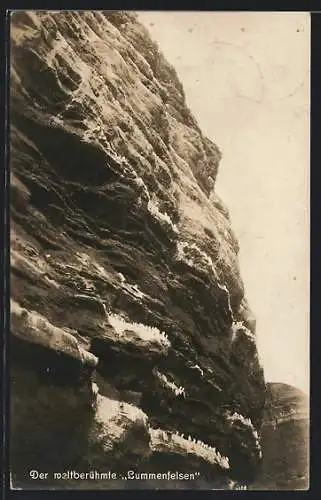 AK Helgoland, der weltberühmet Lummenfelsen