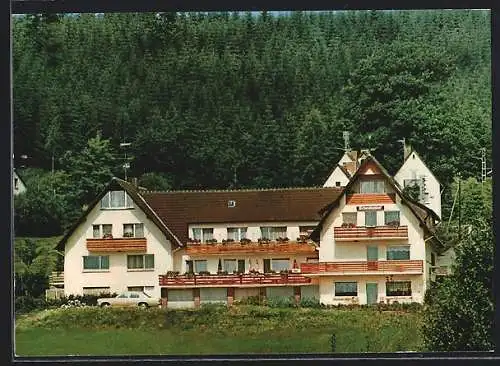 AK Neuhaus im Solling, Hotel-Pension Schwalbenhof, Wiesengrund 11