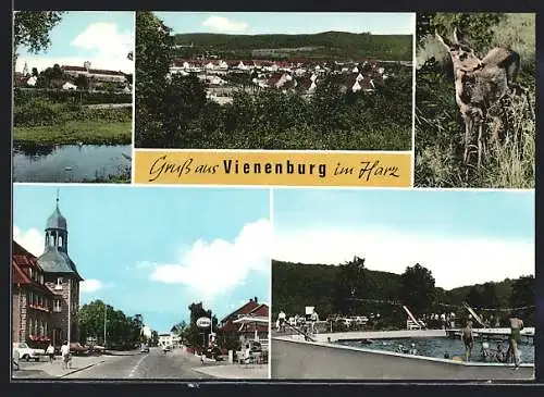 AK Vienenburg im Harz, Strassenpartie mit Esso-Tankstelle, Freibad, Reh