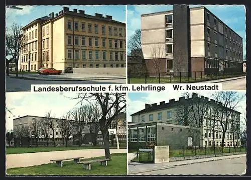 AK Wiener Neustadt, Landesberufsschule f. kfm. Lehrlinge