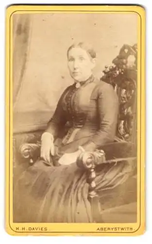 Fotografie H. H. Davies, Aberystwith, 25, Pier Street, Bürgerliche Dame in zeitgenössischer Kleidung