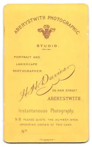 Fotografie H. H. Davies, Aberystwith, 25, Pier Street, Bürgerliche Dame in zeitgenössischer Kleidung