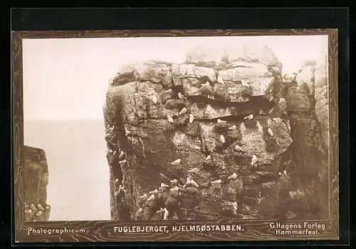 Fotografie G. Hagens Forlag, Hammerfest, Ansicht Hjelmsöstabben, Fuglebjerget