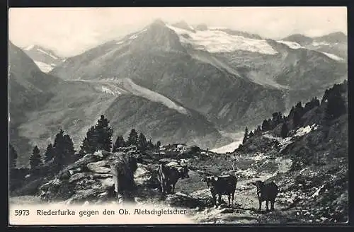 AK Riederfurka gegen den Ob. Aletschgletscher