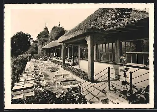 AK Langenburg /Hohenloher Land, Schloss-Café im Rosengarten