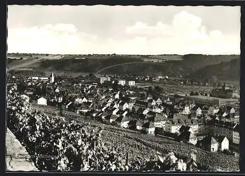 AK Esslingen-Mettingen, Teilansicht aus der Vogelschau