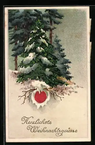 AK Verschneiter Tannenbaum an Weihnachten