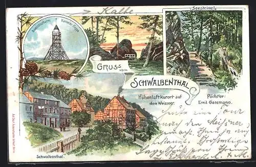 Künstler-AK Schwalbenthal, Gasthaus Schwalbenthal, Aussichtsturm Kasseler Kuppe, Seesteine