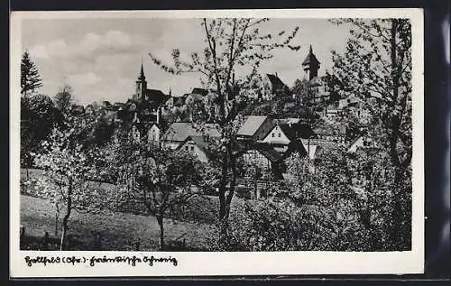 AK Hollfeld /Ofr., Teilansicht mit Kirche