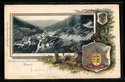 Passepartout-Lithographie Teinach /Schwarzwald, Ortsansicht aus der Vogelschau, Wappen