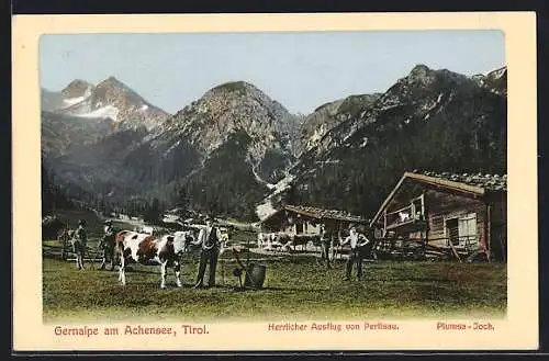 AK Pertisau /Tirol, Die Gernalpe am Achensee, Bauern mit Kühen