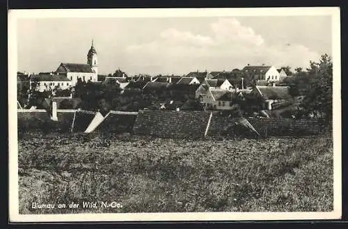 AK Blumau a. d. Wild, Ortspanorama von einem Feld gesehen