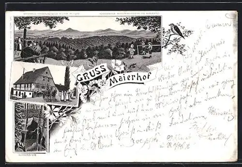 Lithographie Alfdorf, Pferdekutsche vor Gasthof Maierhof, die Höhle Kohlenstein
