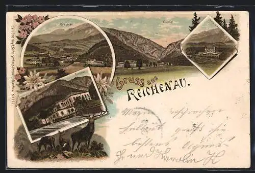 Lithographie Reichenau, Kurhaus, Villa Wartholz, Thalhof