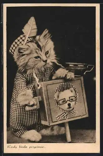 AK Katze an einem Leierkasten mit Hundeaufdruck