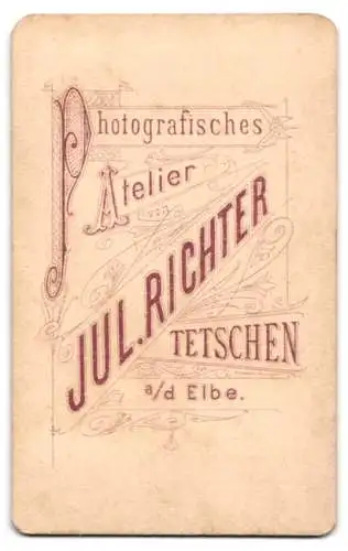 Fotografie Jul. Richter, Tetschen a. d. Elbe, Junger Mann mit markantem Seitenscheitel und ernstem Blick