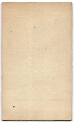 Fotografie Gustav Gutsche, Berlin, Linden Str. 43, Bürgerlicher Knabe im Anzug mit Fliege und Seitenscheitel