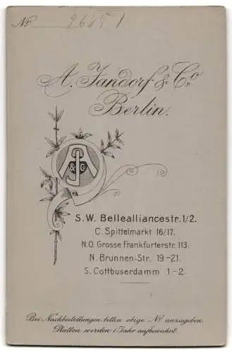 Fotografie A. Jandorf & Co., Berlin, Bellealliancestr. 1 /2, Junge Dame im schwarzen Kleid