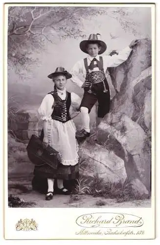 Fotografie Richard Brand, Mittweida, Bruder und Schwester in Tracht mit Zither in der Hand