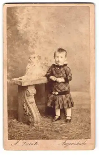 Fotografie A. Lorentz, Angermünde, niedliches kleines Mädchen im karierten Kleid mit ihrem Hund auf einer Bank