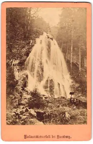 Fotografie unbekannter Fotograf, Ansicht Bad Harzburg, Blick auf den Radauer Wasserfall
