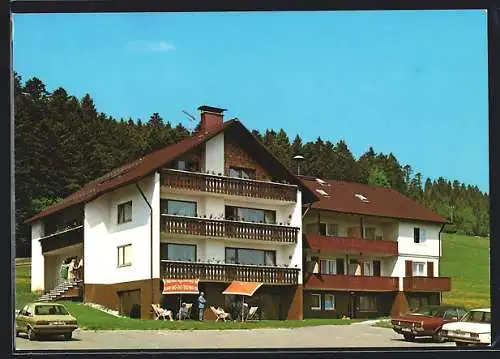 AK Freudenstadt /Lauterbad /Schwarzwald, Gasthof und Pension Berghof