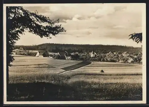 AK Igelsberg /Schwarzwald, Blick über Wiesen auf den Kurort