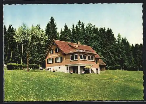 AK Kniebis an der Schwarzwaldhochstrasse, Hotel Fremdenheim Scholz
