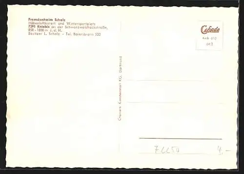 AK Kniebis an der Schwarzwaldhochstrasse, Hotel Fremdenheim Scholz