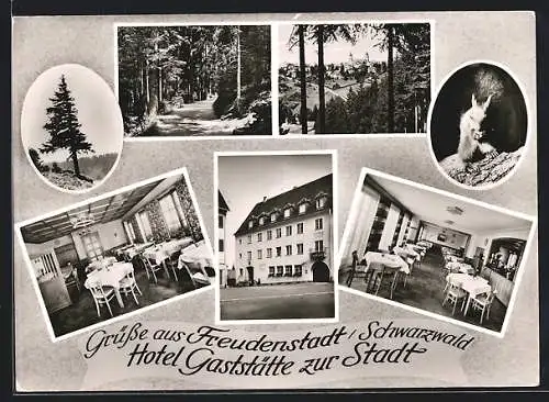 AK Freudenstadt /Schwarzwald, Hotel Gaststätte zur Stadt