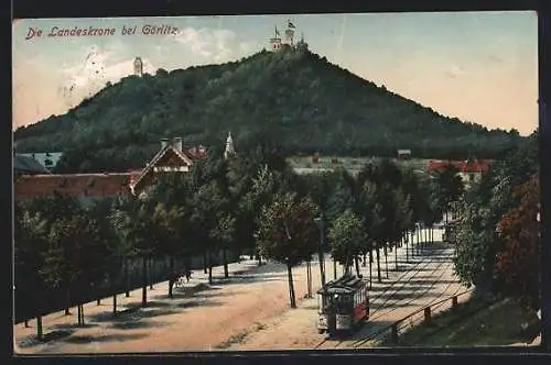 AK Görlitz, Die Landeskrone, Strassenbahn