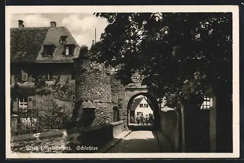 AK Alzey /Rheinhessen, Das Schlosstor