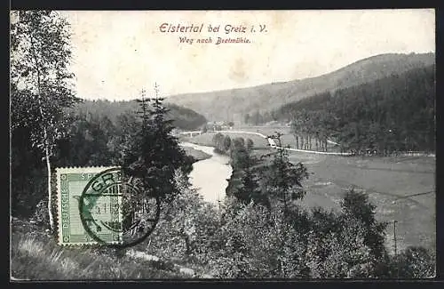 AK Greiz i. V., Elsterthal mit Weg nach Bretmühle