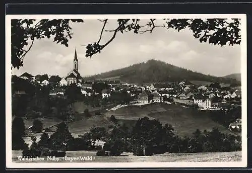 AK Waldkirchen / Ndby., Totalansicht