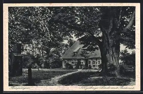 AK Bispingen, 500 jährige Linde mit Pastorat