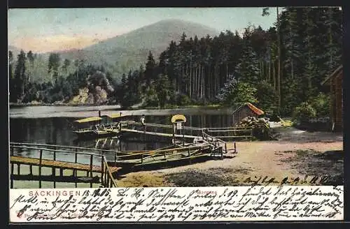 AK Säckingen, Bergsee mit Bootsteg