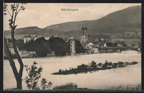 AK Bad Säckingen, Ortsansicht mit Kirche