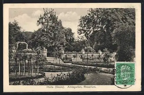 AK Halle / Saale, Amtsgarten, Rosarium