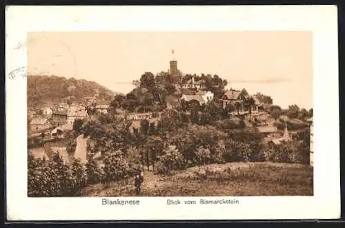 AK Hamburg-Blankenese, Blick vom Bismarckstein