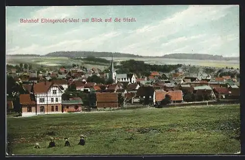 AK Elbingerode, Blick vom Bahnhof auf die Stadt, Leute auf der Wiese