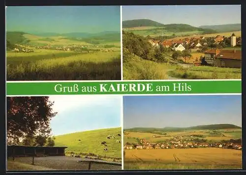 AK Kaierde, Panoramaansicht, Teilansicht, Landschaft mit grasenden Kühen