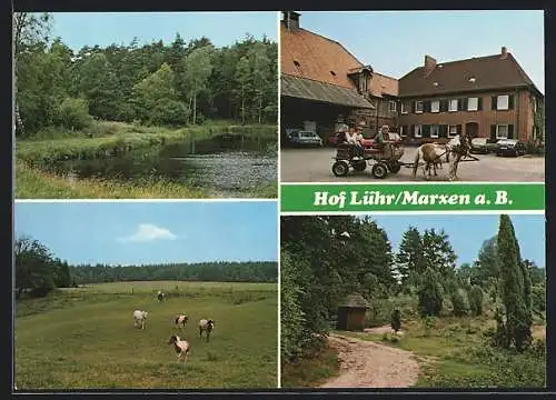 AK Oldendorf /Luhe, Hof Lühr, Marxen am Berge Nr. 4