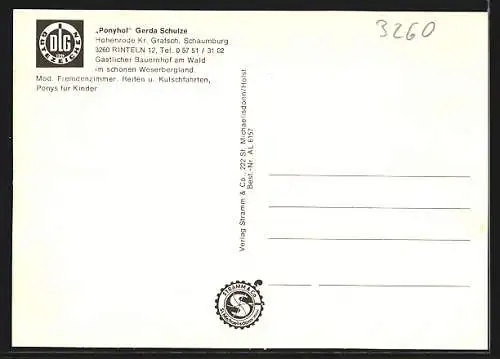 AK Hohenrode /Rinteln, Pension Ponyhof Gerda Schulze