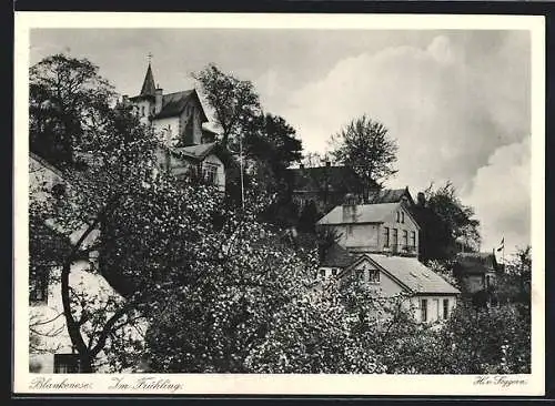 AK Hamburg-Blankenese, Im Frühling, Teilansicht
