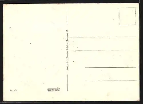 AK Hamburg-Blankenese, Im Frühling, Teilansicht