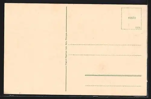 AK Ludwigsburg / W., Franzosenstrasse aus der Vogelschau