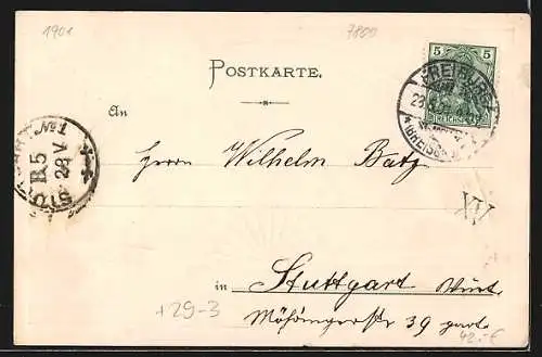 Passepartout-Lithographie Freiburg / Breisgau, Stadtansicht