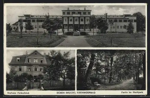AK Düben / Mulde, Hotel-Kurhaus Parkschloss, Frontalansicht, Partie im Stadtpark