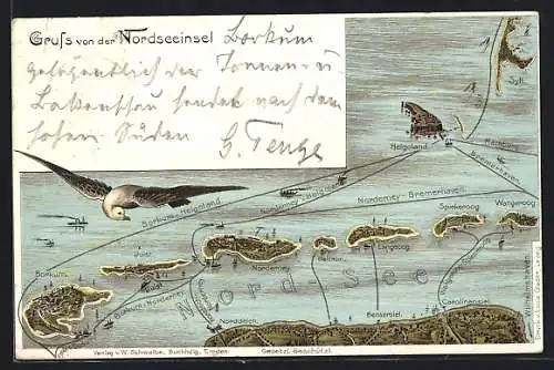AK Langeoog, Landkarte der Nordseeinsel, Möwe mit den Verbindungswegen